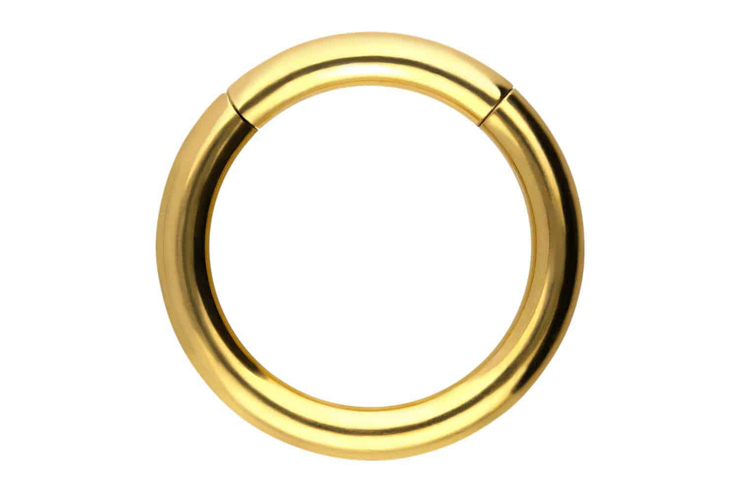 Chirurgenstahl Segmentring Clicker Piercing